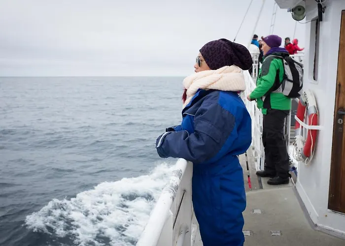 Апартаменты 102 - Whale Safari Анденес