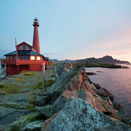 102 - Whale Safari 안데네스