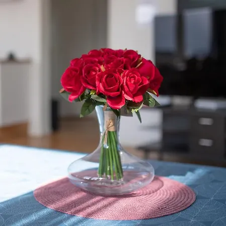 102 - Whale Safari *