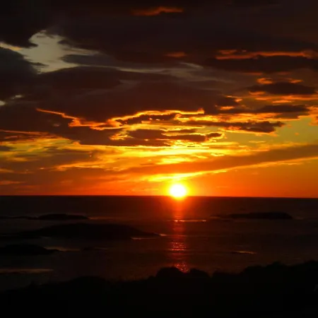 102 - Whale Safari 아파트